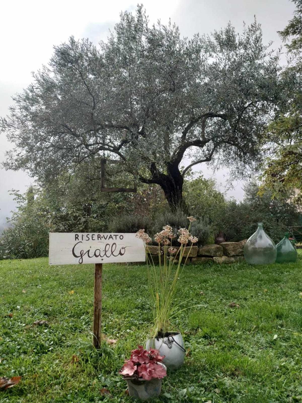 Agriturismo Montesalce Gubbio Eksteriør bilde